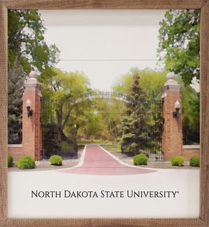 North Dakota State University Gate